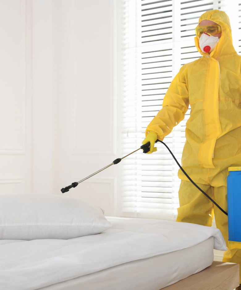 Professional Pest Control Team in Largs Bay